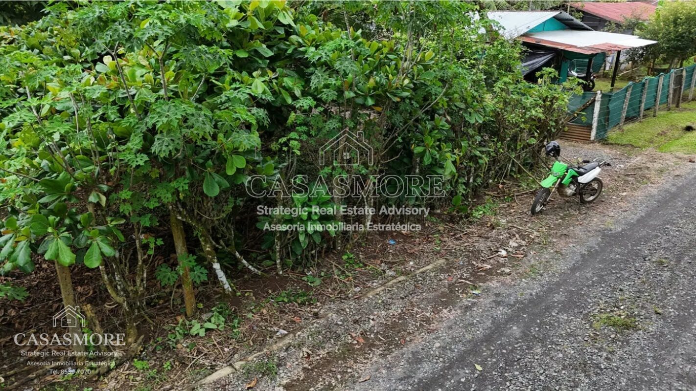 VENTA LOTE CARIARI, POCOCI, 300 M2 PLANO, CON ACCESO A SERVICIOS PUBLICOS, SE ESCUCHAN OFERTAS
